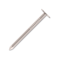 Hřebíky do krytiny 2 x 16 mm, žárový zinek - 2,5 kg